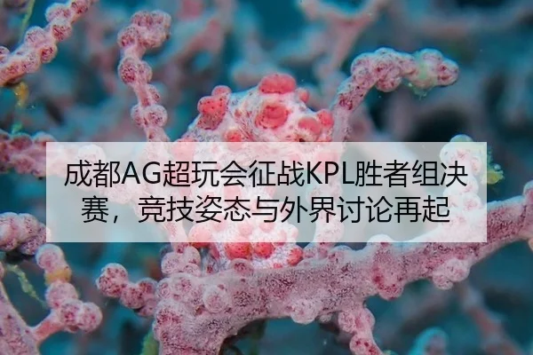 成都AG超玩会征战KPL胜者组决赛，竞技姿态与外界讨论再起