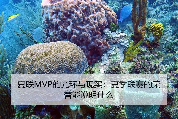 夏联MVP的光环与现实：夏季联赛的荣誉能说明什么